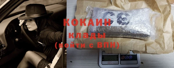 мяу мяу кристалл Гусь-Хрустальный
