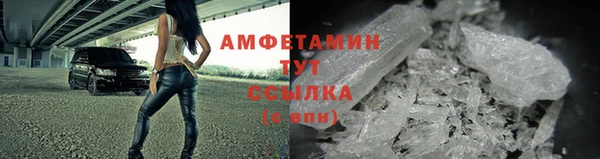 мяу мяу кристалл Гусь-Хрустальный