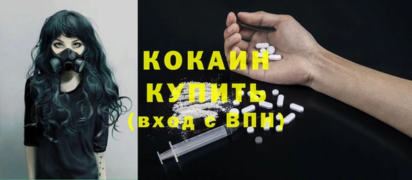 кокс Гусев