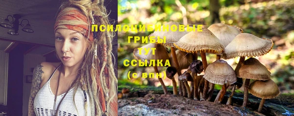 СК Горняк