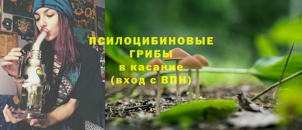 СК Горняк