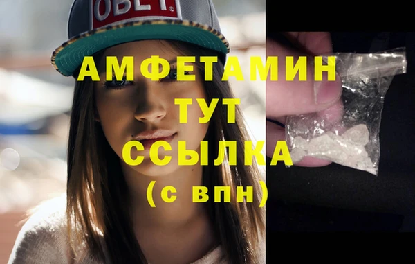 шишки Горнозаводск