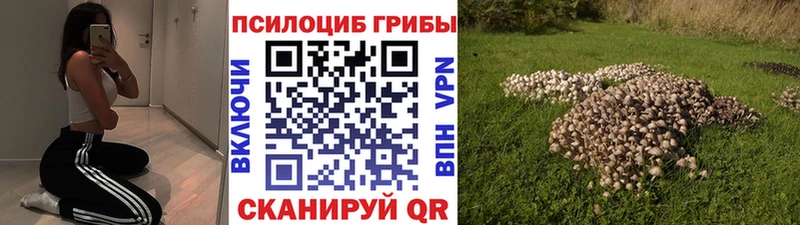 Галлюциногенные грибы мицелий  Боровск 